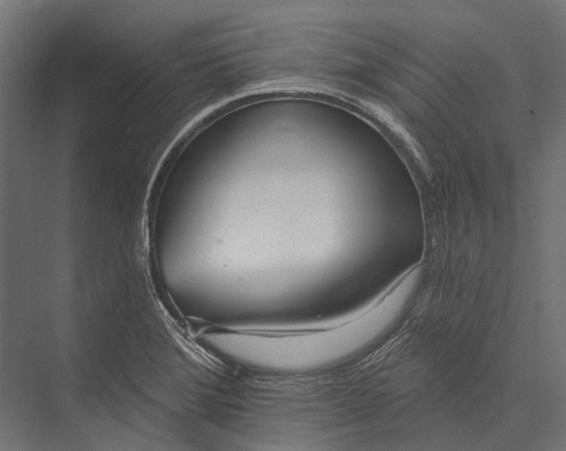 X0000076061372200610061525