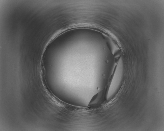 X0000076061373200610061525