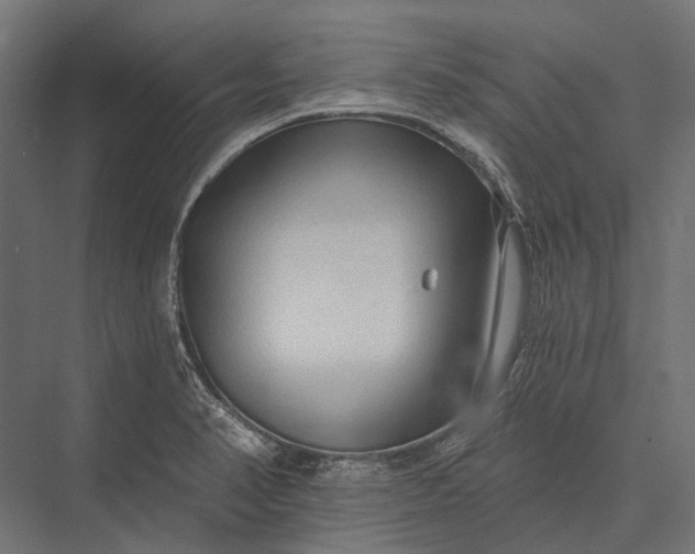 X0000076061374200610061525