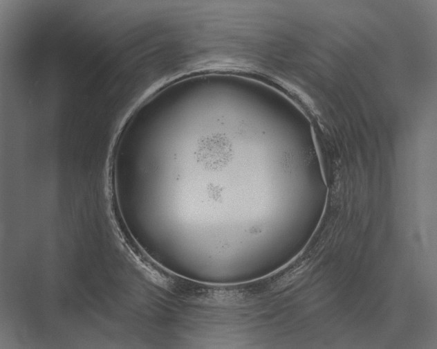 X0000076061375200610061525