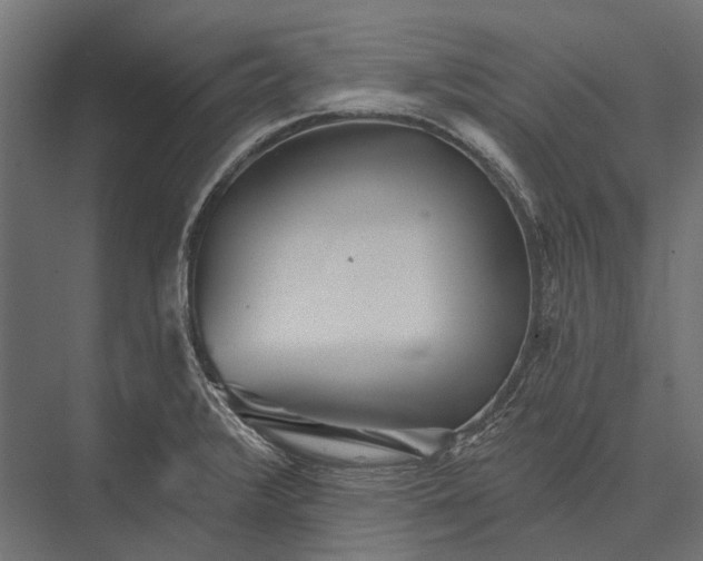 X0000076061376200610061525