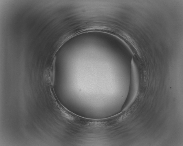 X0000076061377200610061525