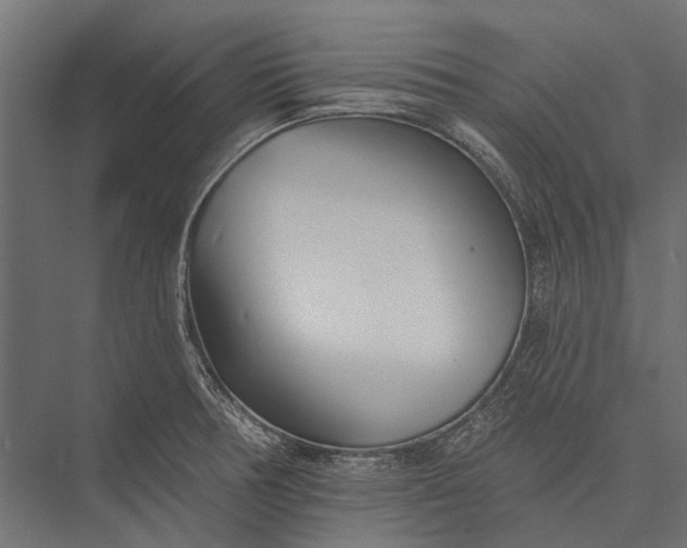 X0000076061378200610061525