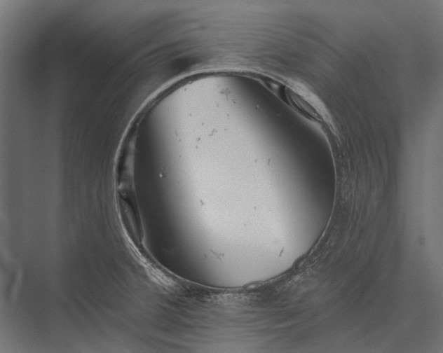 X0000076061380200610061525