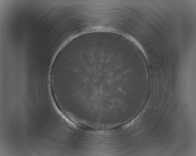 X0000076061381200610061525