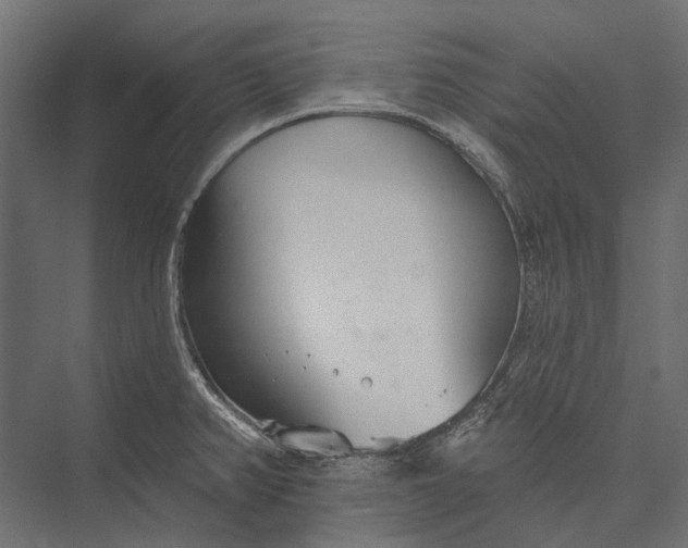 X0000076061382200610061525