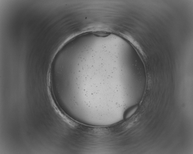 X0000076061383200610061525