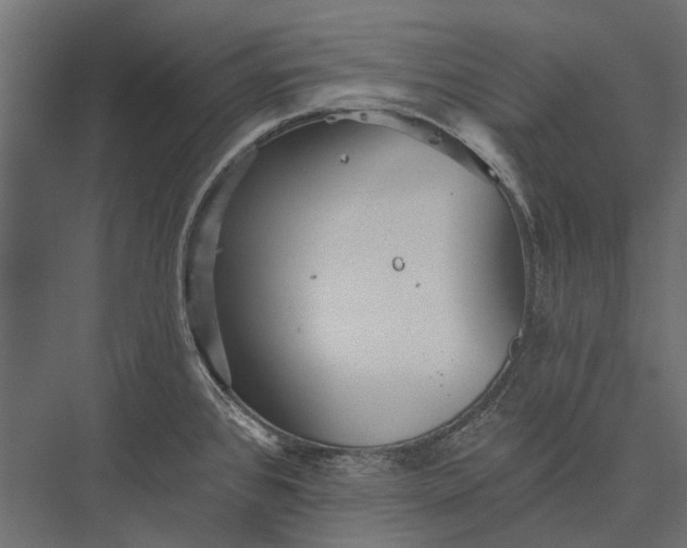 X0000076061384200610061525