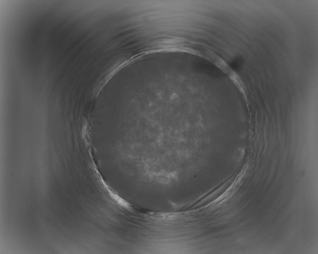 X0000076061385200610061525