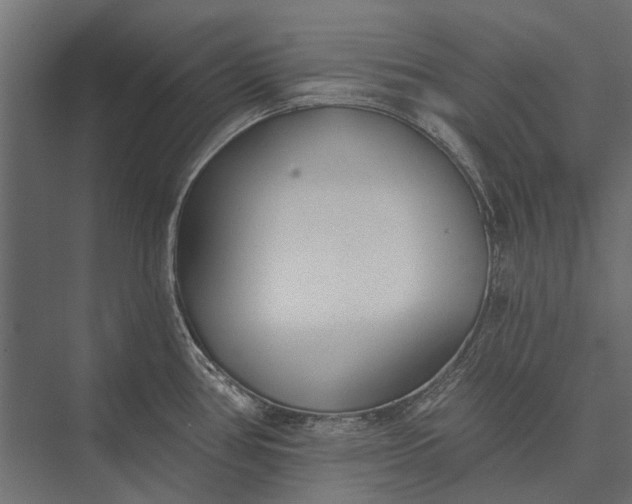 X0000076061386200610061525