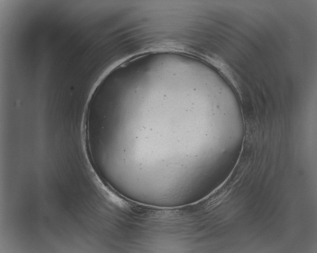 X0000076061387200610061525