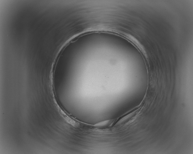 X0000076061388200610061525