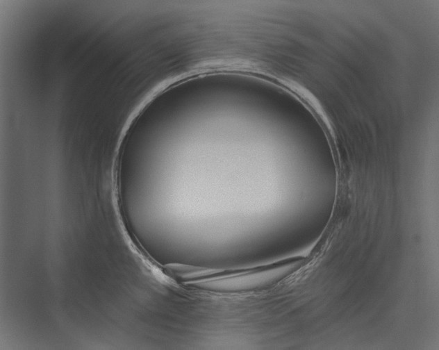 X0000076061389200610061525