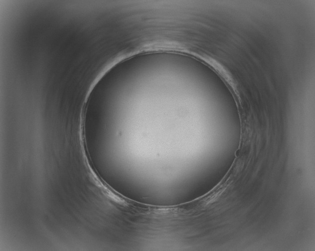 X0000076061390200610061525