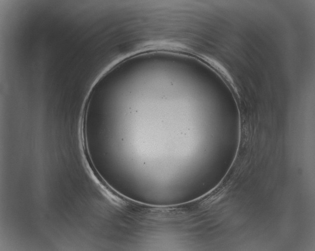 X0000076061391200610061525