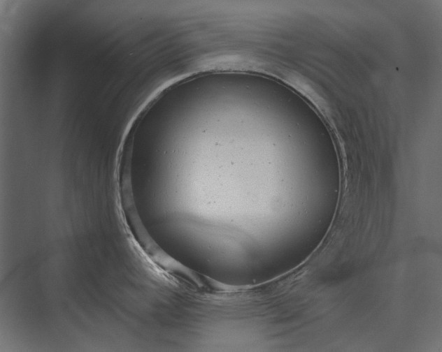 X0000076061392200610061525