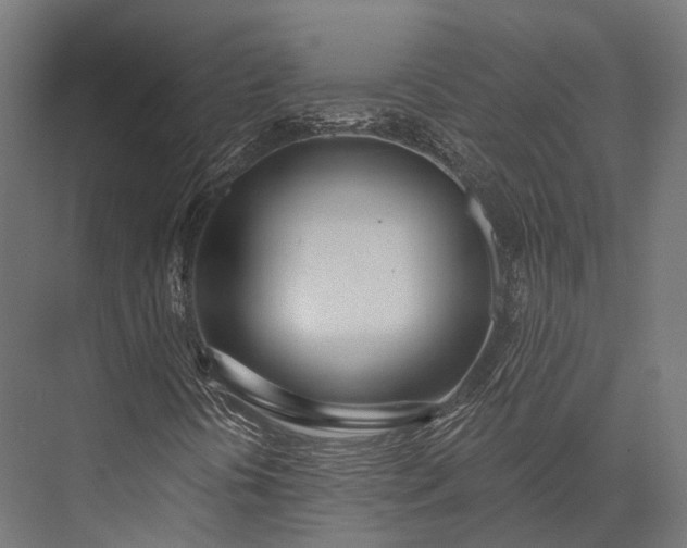 X0000076061394200610061524