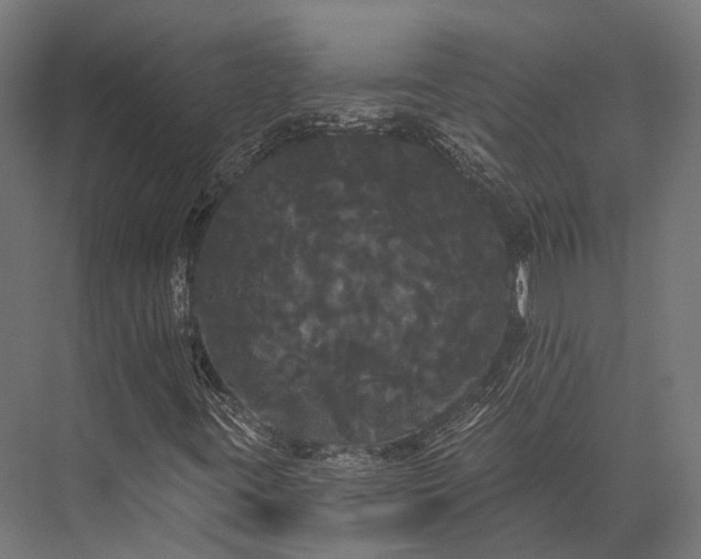 X0000076061395200610061524