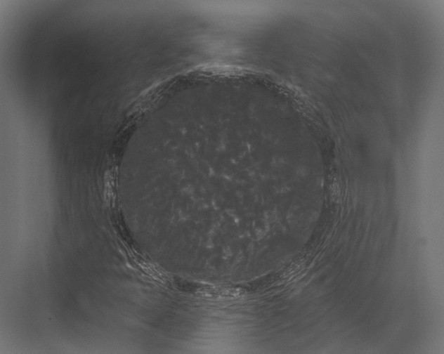 X0000076061397200610061524