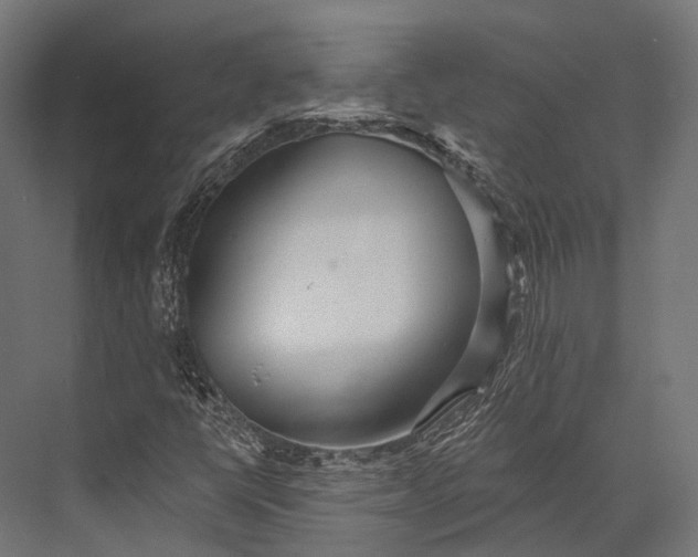 X0000076061398200610061524