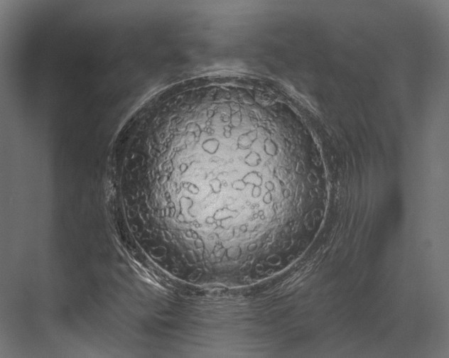 X0000076061400200610061524