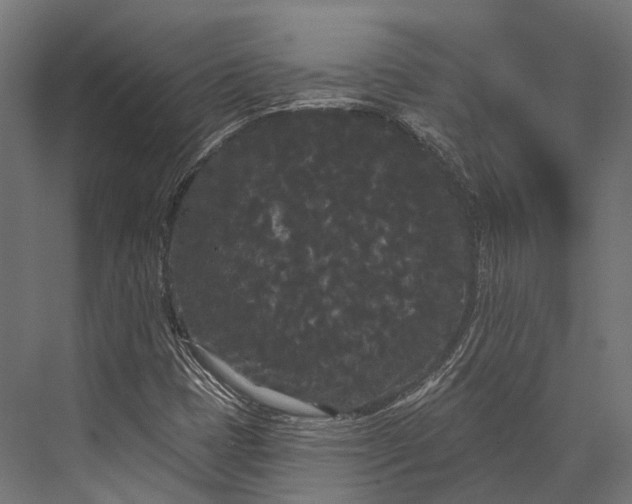 X0000076061401200610061524