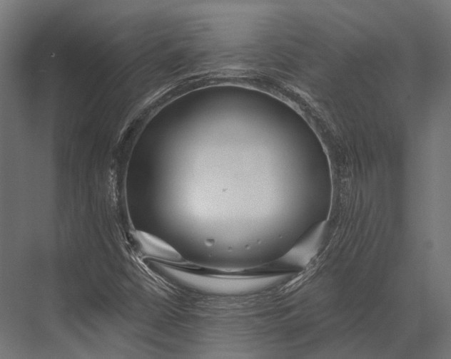 X0000076061402200610061524