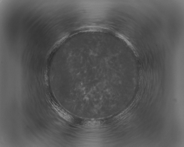 X0000076061403200610061524