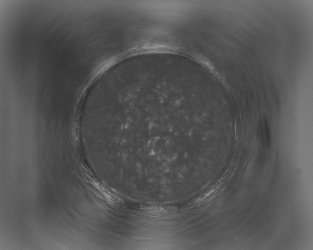 X0000076061405200610061524