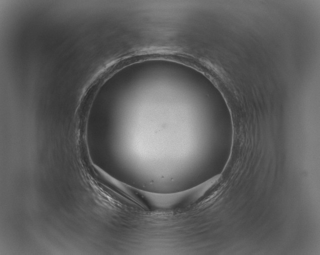 X0000076061406200610061524