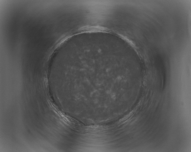 X0000076061407200610061524