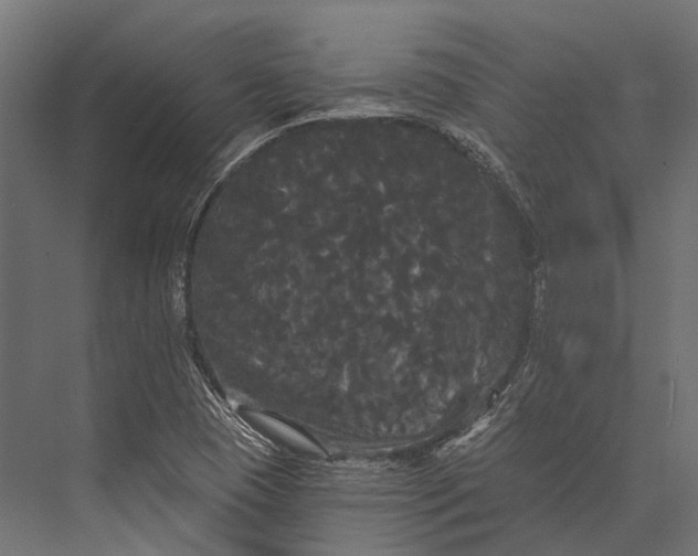 X0000076061409200610061524