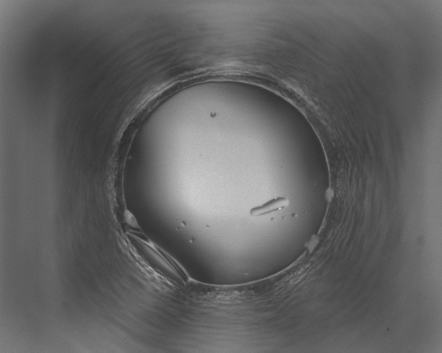 X0000076061410200610061524