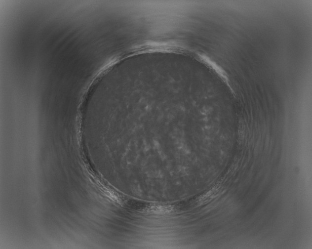 X0000076061411200610061524