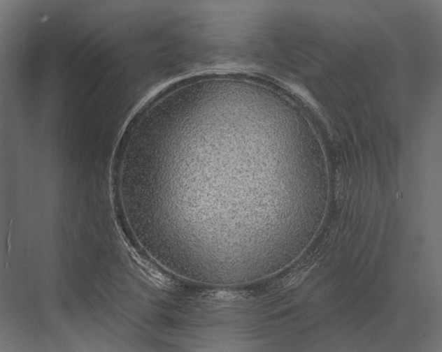 X0000076061412200610061524