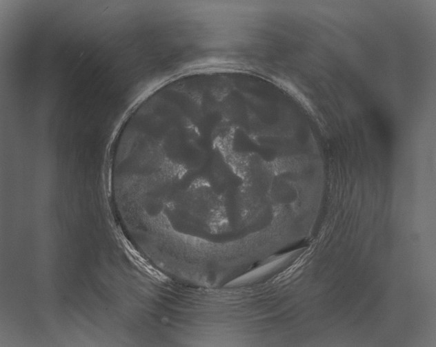 X0000076061413200610061524