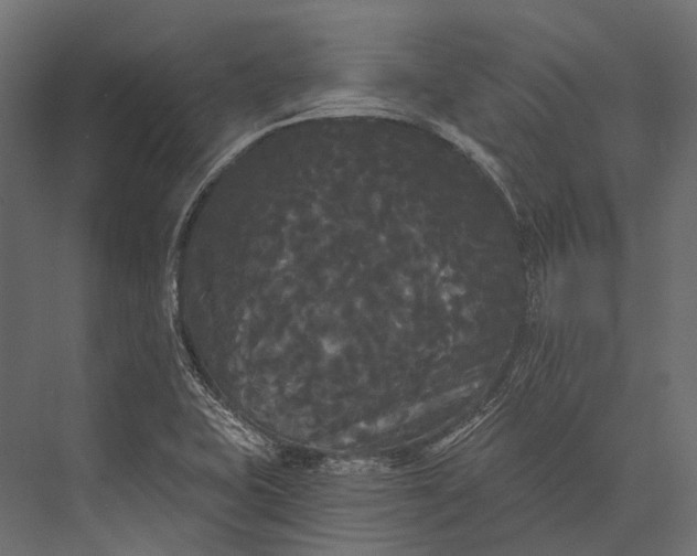 X0000076061415200610061524