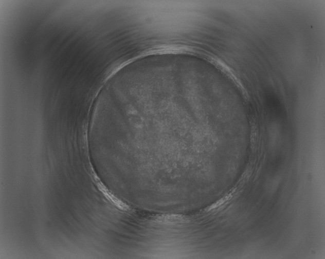 X0000076061417200610061524