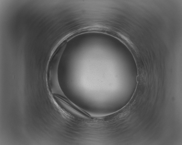 X0000076061418200610061524