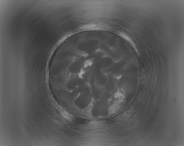 X0000076061419200610061524