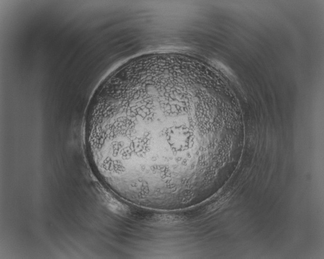 X0000076061420200610061524