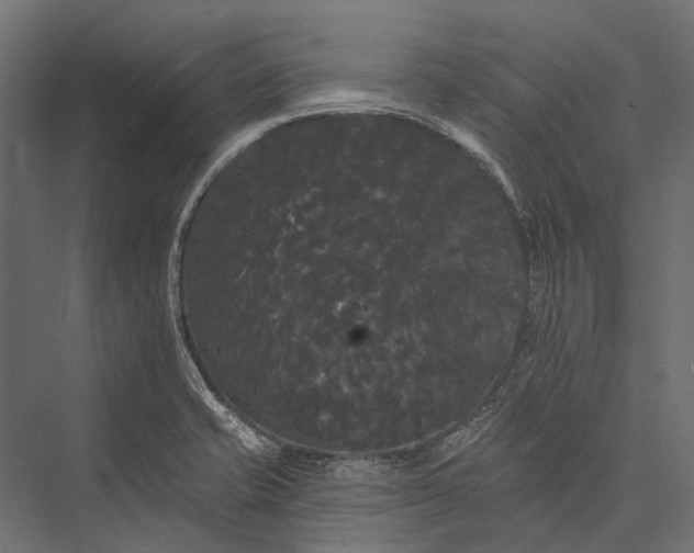 X0000076061421200610061524