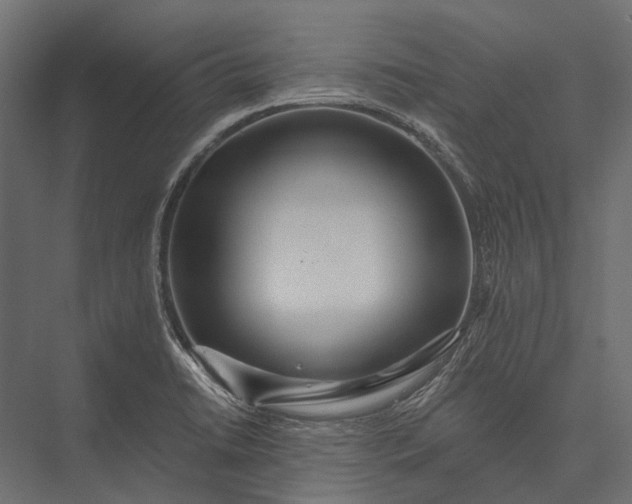 X0000076061422200610061524