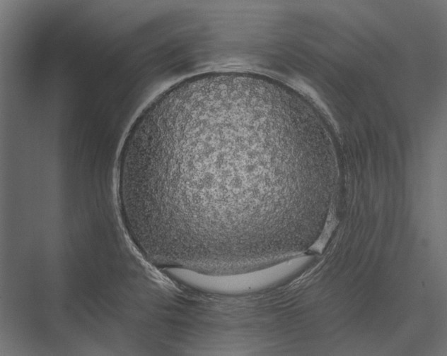 X0000076061424200610061524