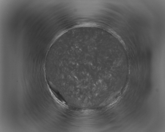 X0000076061425200610061524