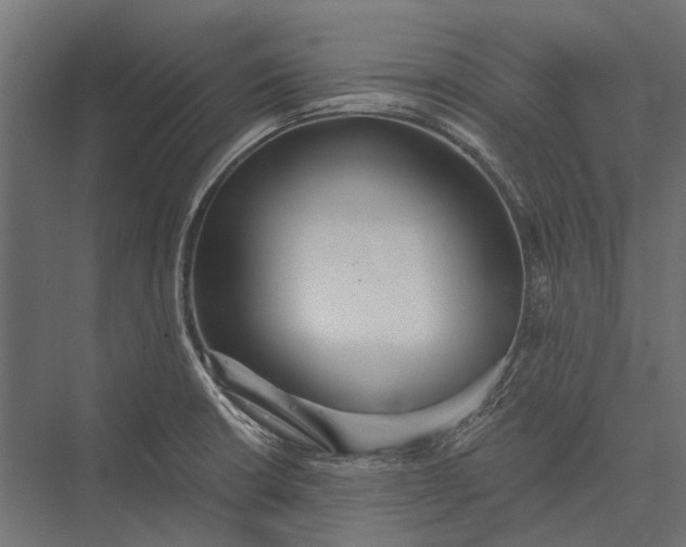 X0000076061426200610061524