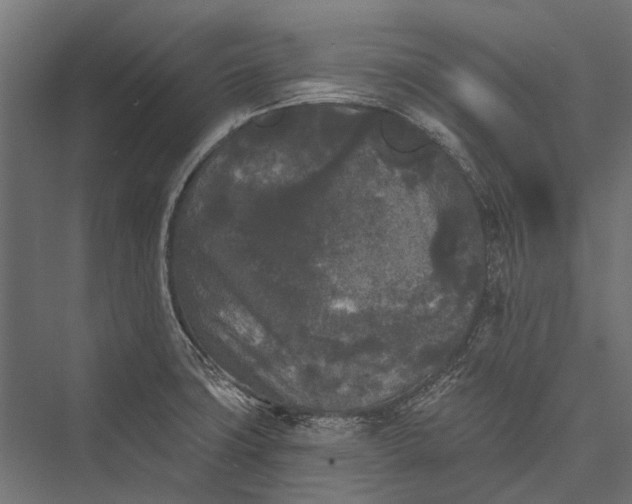 X0000076061427200610061524