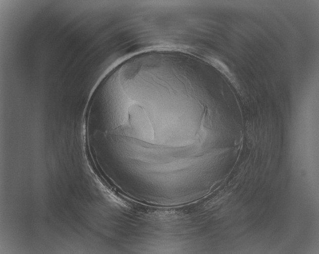 X0000076061428200610061524