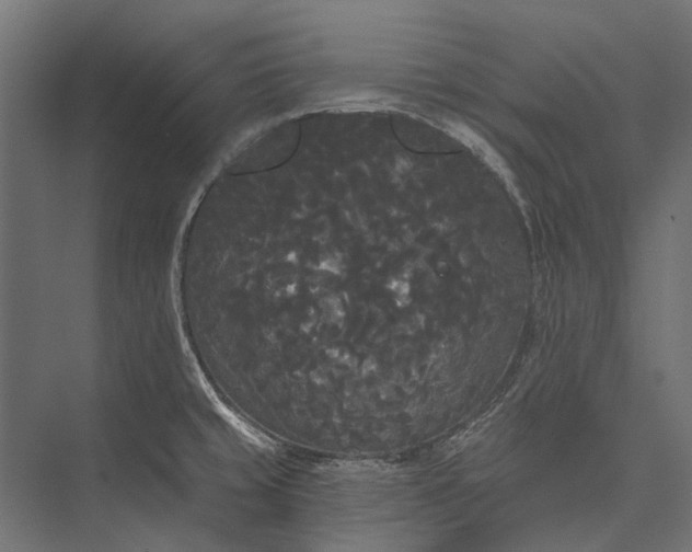 X0000076061429200610061524