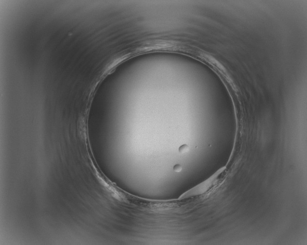 X0000076061433200610061524